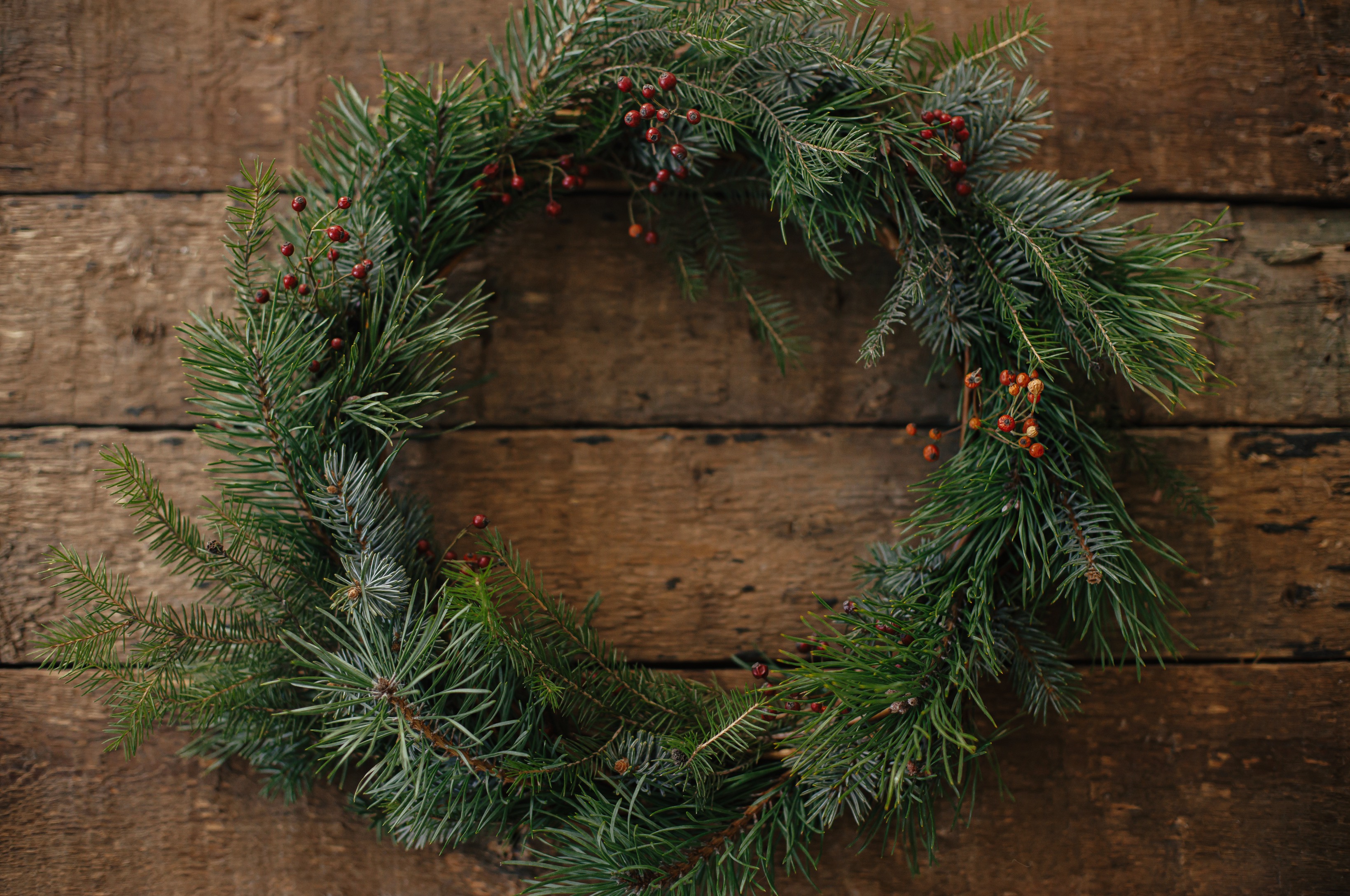 Christmas Wreaths and Wild Tea