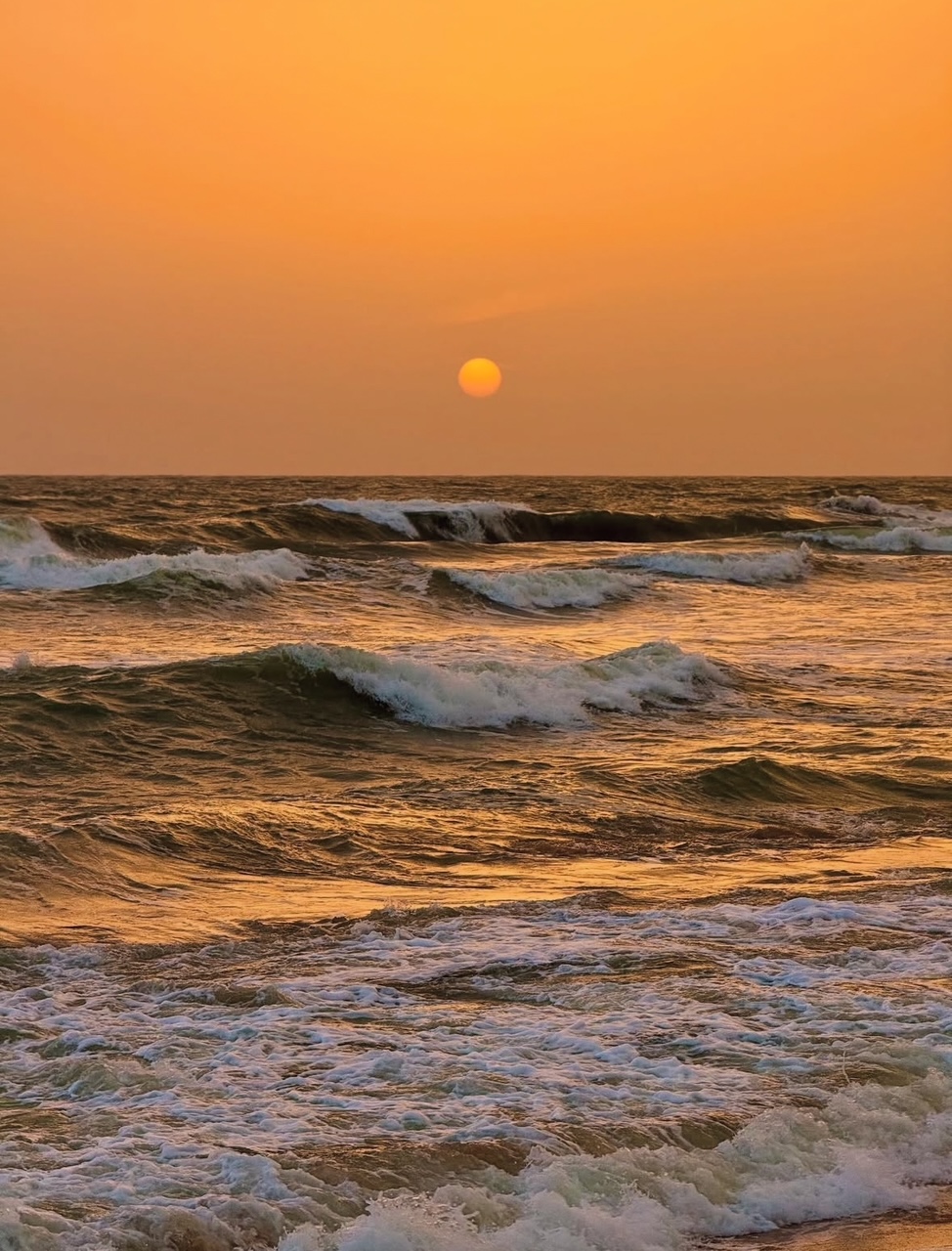 Ichigo Ichie: A Moment in Sri Lanka