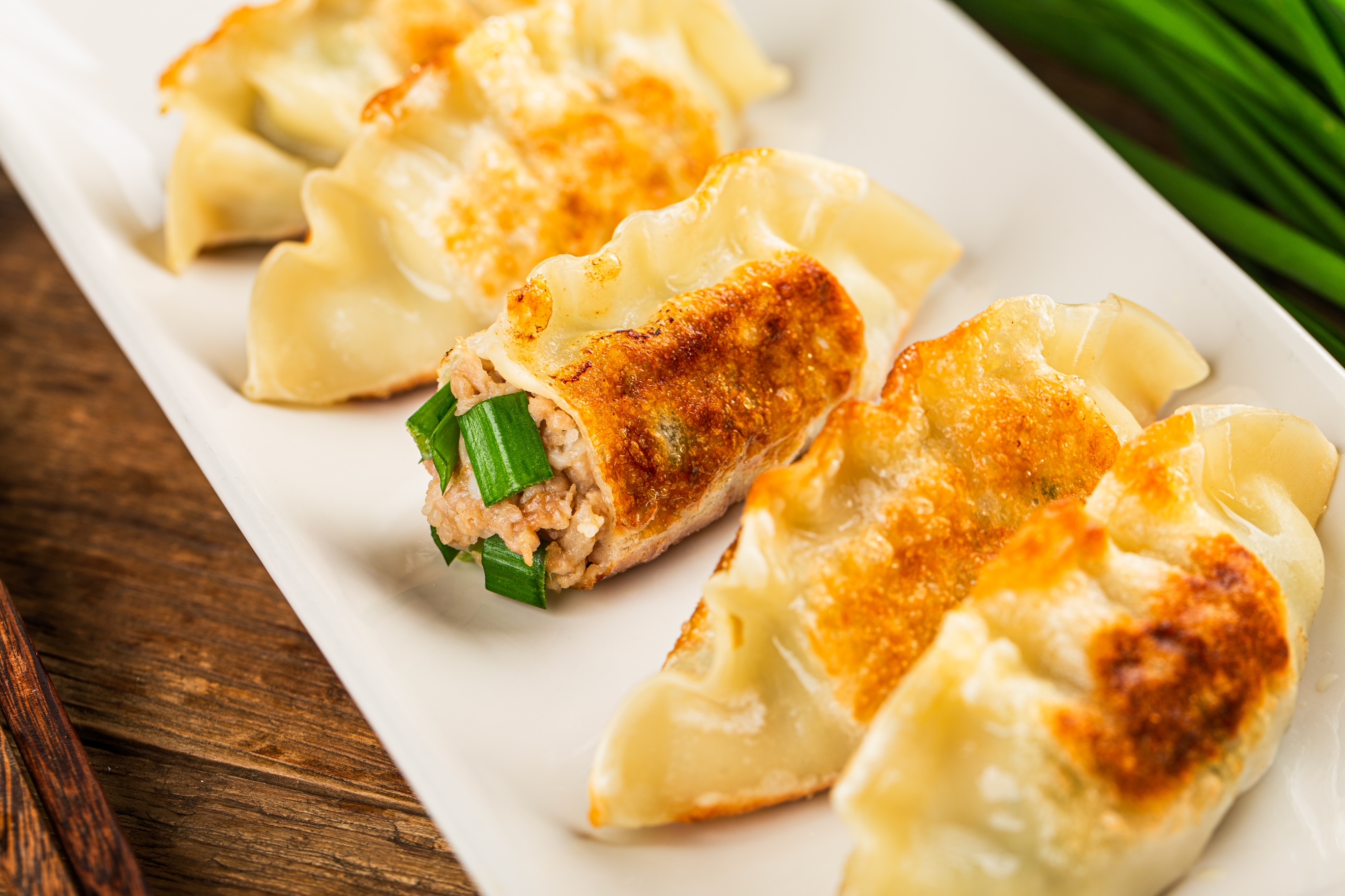 Wild Garlic Gyoza