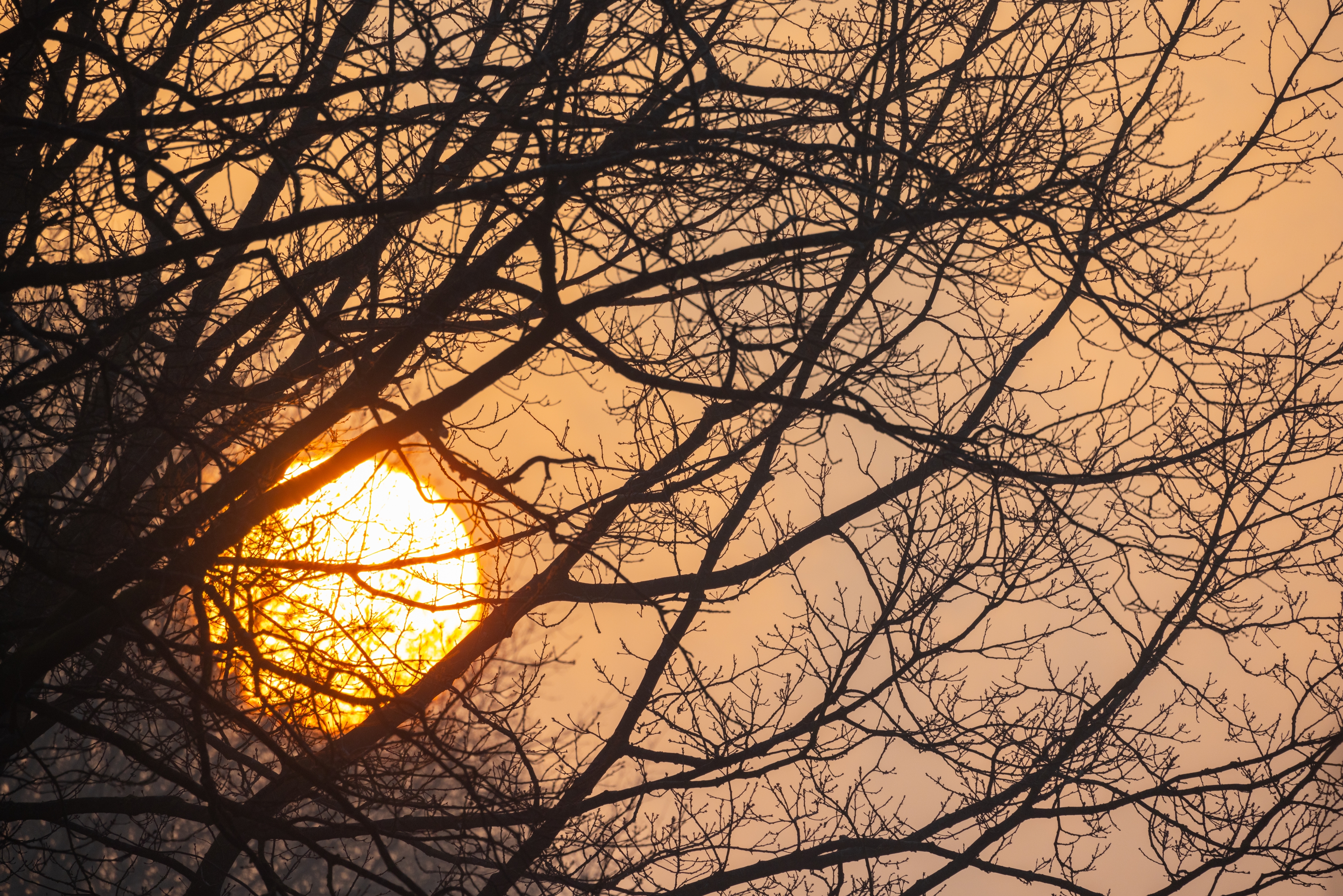 Winter Solstice